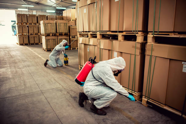Pest Prevention Services in South Alamo, TX
