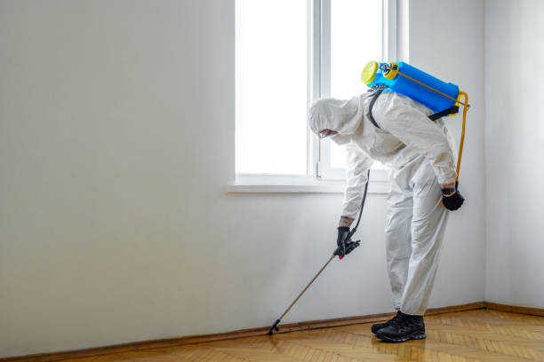 Trusted South Alamo, TX Pest Control Experts