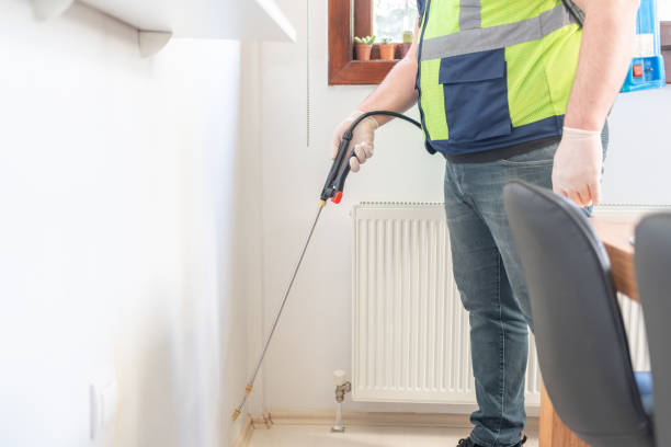 Professional Pest Control in South Alamo, TX