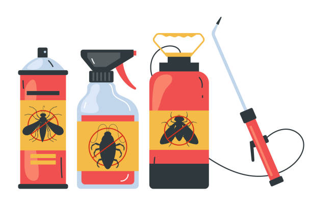 Best Ant Control Services  in South Alamo, TX